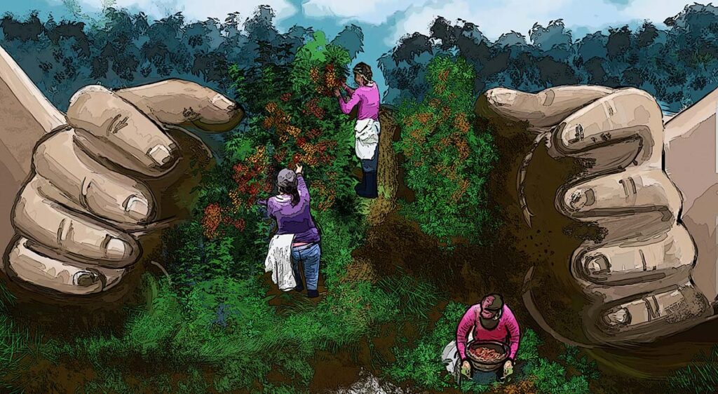 Mujeres sin tierra en Nicaragua: vestidas para el olvido