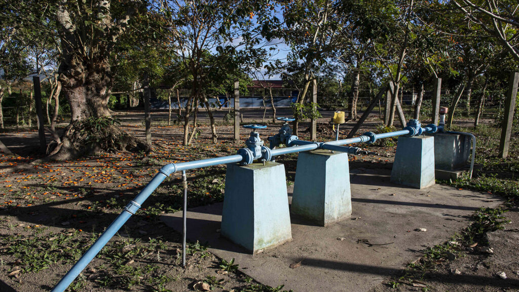Cultivos de tabaco son ubicados cerca de los pozos comunitarios, reduciendo su tiempo de Vida útil. |©Galería News