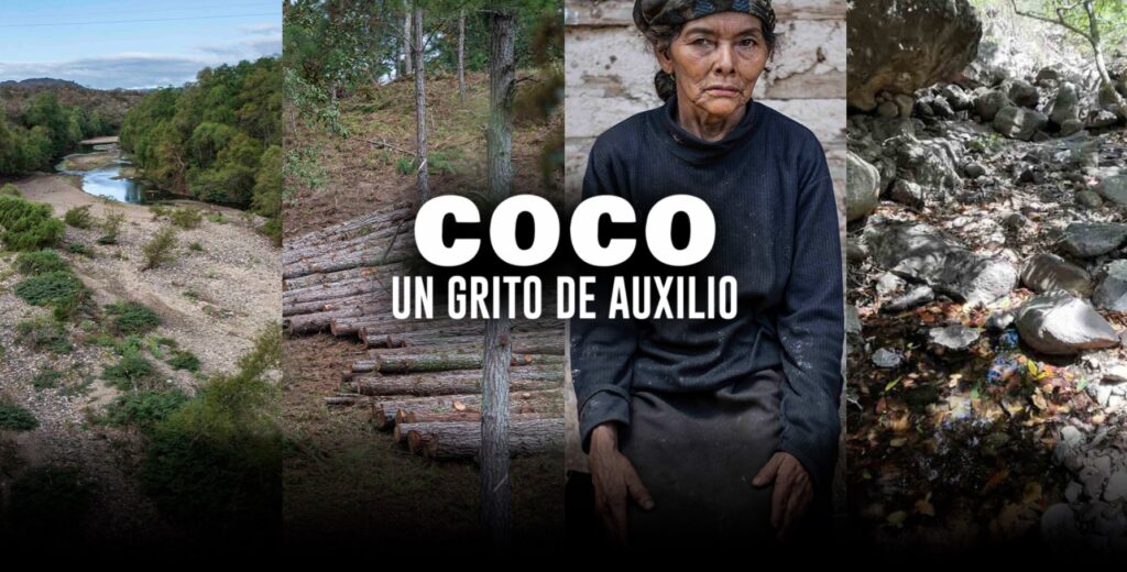 COCO, un grito de auxilio