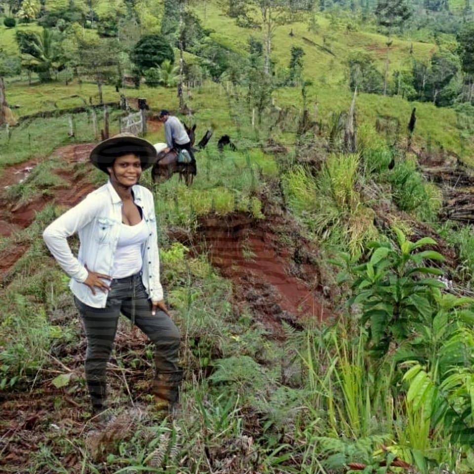 Princess Barberena Beckford