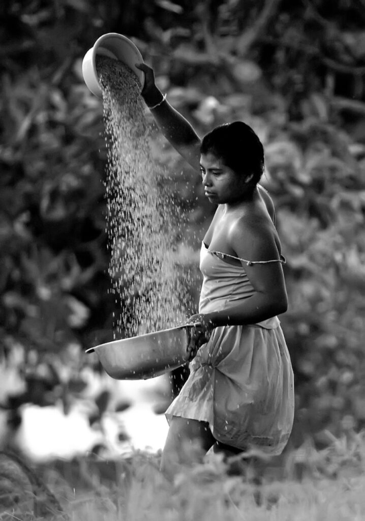 Nicaragua: Entre Luces y Sombras