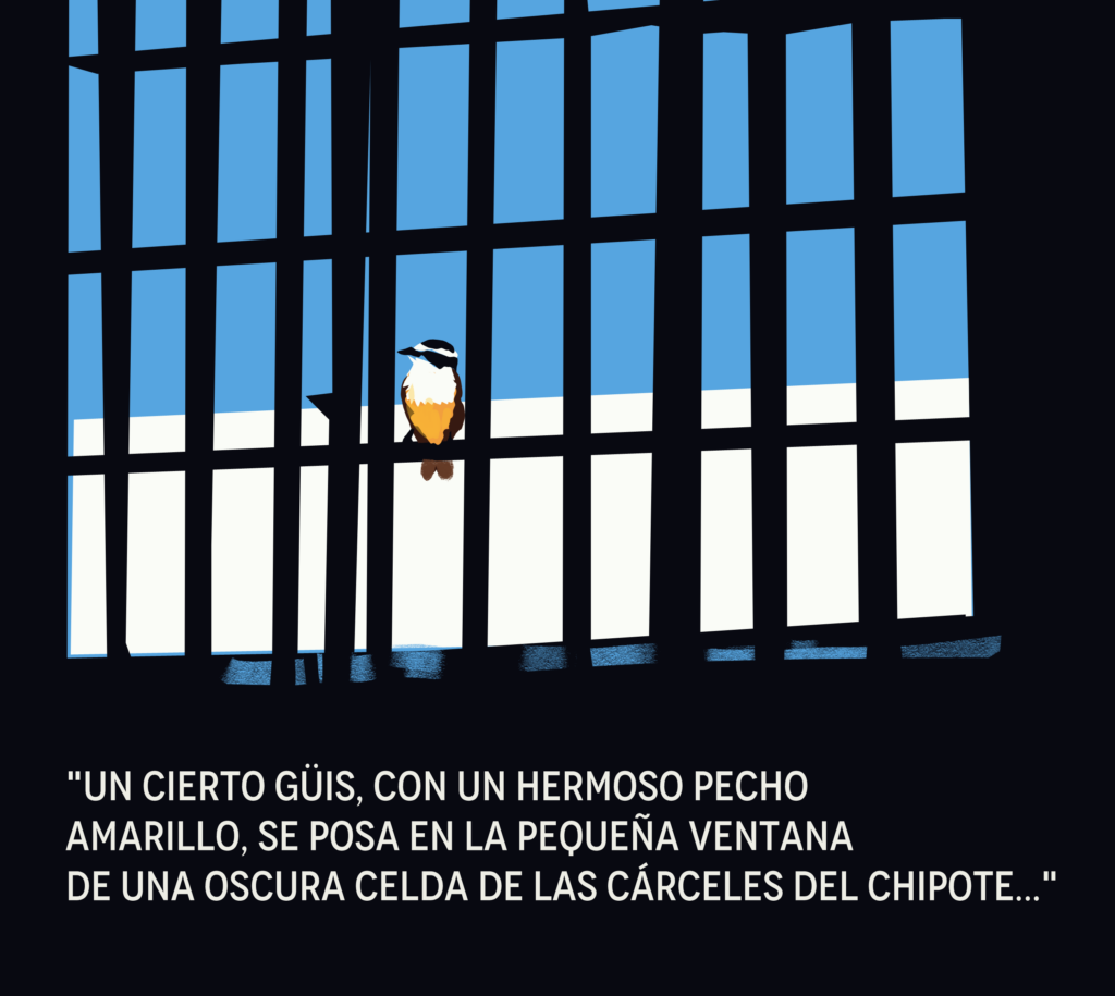 Nicaragua: Presos Políticos