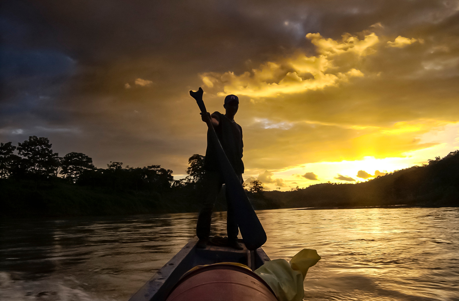 Bosawás| ©Óscar Navarrete|. Fotografía portada de la eco exposición "Grito por los bosque: Indio Maíz y Bosawás| Galería News
