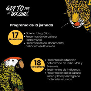 Grito Por los bosques, una jornada para unir a la ciudadanía en defensa de los bosques.