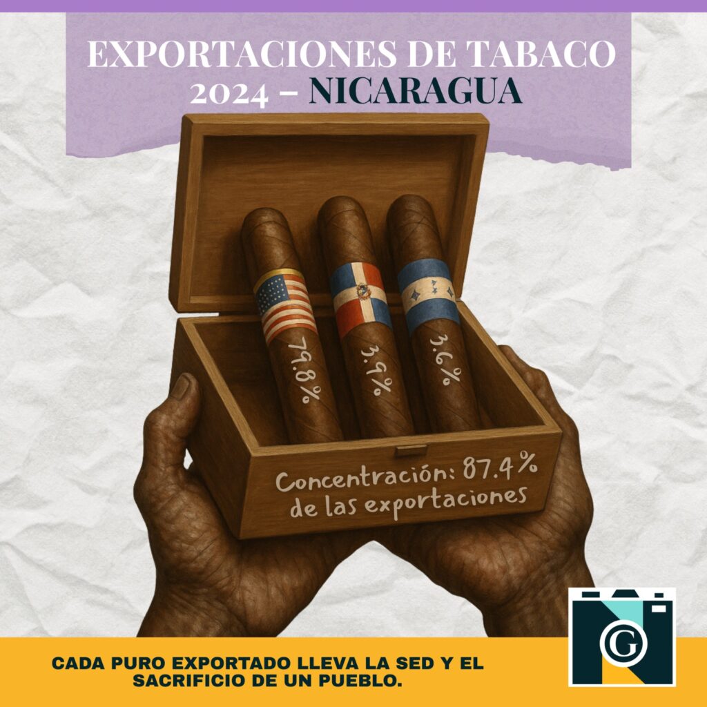 Infografía sobre el de las exportaciones de tábaco nicaragüense. |©Galería News