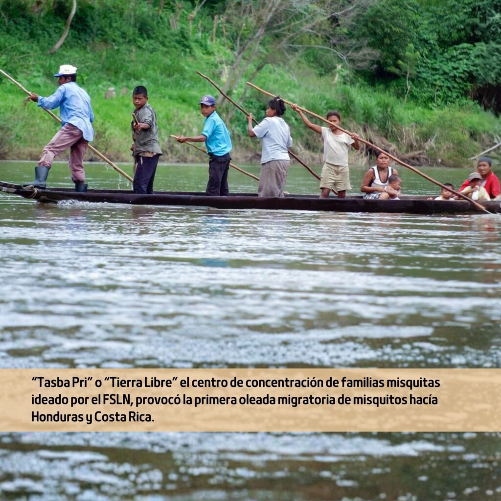 Dato histórico sobre el impacto de la Operación "Tasba Pri" o "Tierra Libre" en la vida del pueblo 